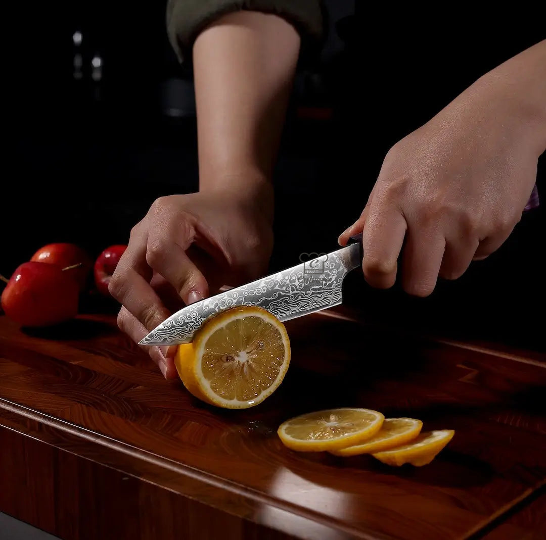 gyuto-damastmesser-set-limited-edition-kopie